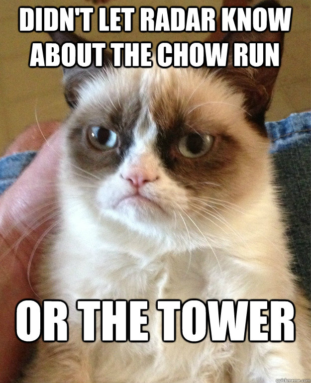Didn't let RADAR know about the chow run Or the tower  Grumpy Cat