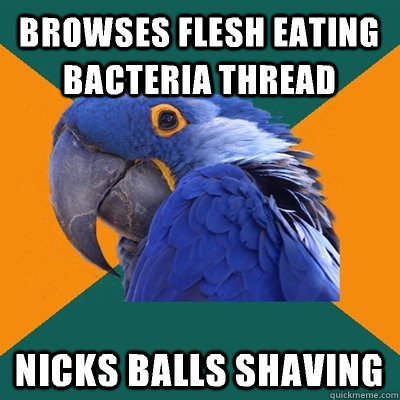 Browses flesh eating bacteria thread nicks balls shaving - Browses flesh eating bacteria thread nicks balls shaving  Paranoid Parrot