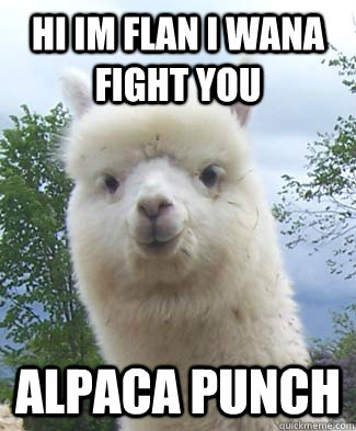 hi im flan i wana fight you Alpaca punch - hi im flan i wana fight you Alpaca punch  Alpaca-pun Alpaca