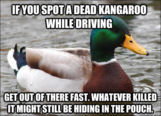 If you spot a dead kangaroo while driving Get out of there fast. Whatever killed it might still be hiding in the pouch.  Actual Advice Mallard
