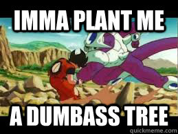 imma plant me  a dumbass tree  