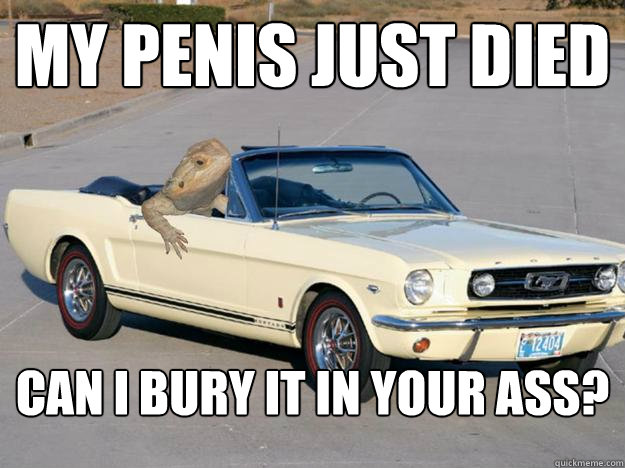my penis just died can I bury it in your ass?  Pickup Dragon