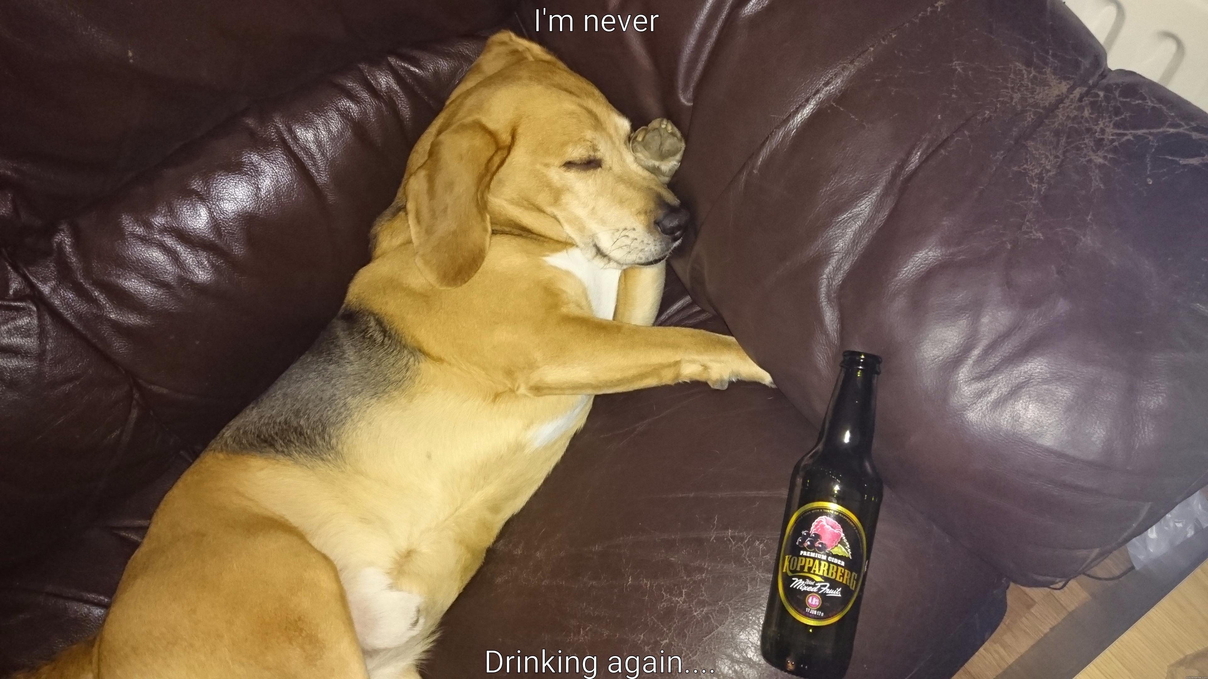 I'M NEVER  DRINKING AGAIN.... Misc