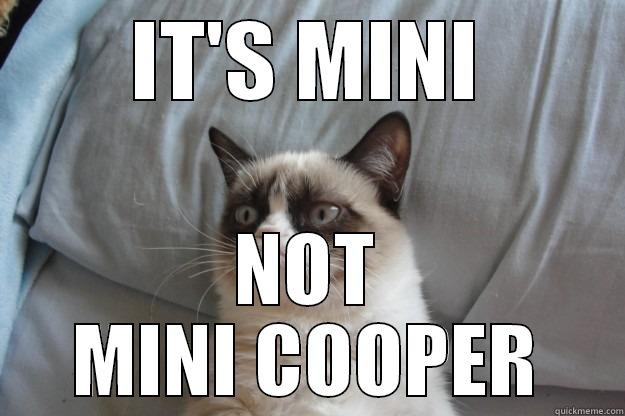 IT'S MINI NOT MINI COOPER Grumpy Cat