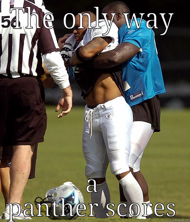THE ONLY WAY A PANTHER SCORES Misc