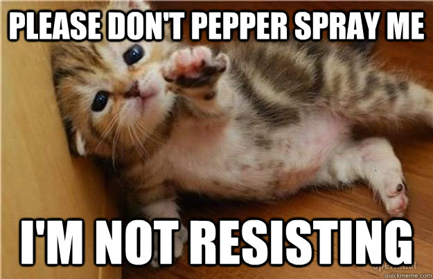 Please don't pepper spray me I'm not resisting  Halp me kitten