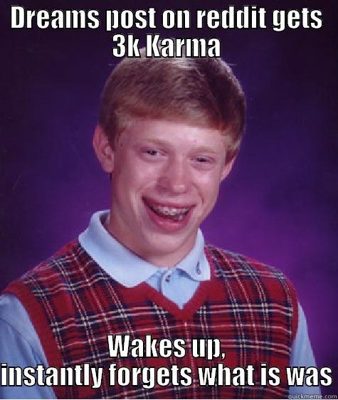 DREAMS POST ON REDDIT GETS 3K KARMA WAKES UP, INSTANTLY FORGETS WHAT IS WAS Bad Luck Brian
