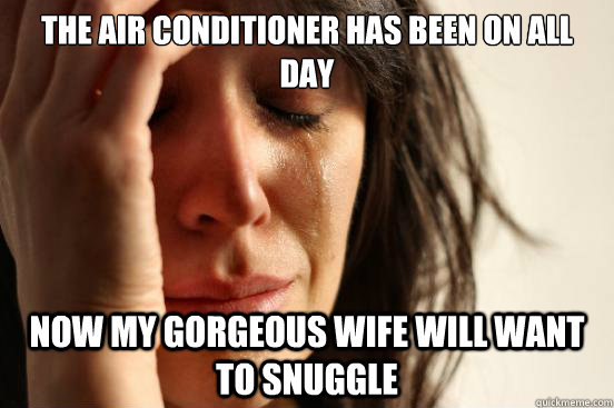 The air conditioner has been on all day Now my gorgeous wife will want to snuggle  First World Problems