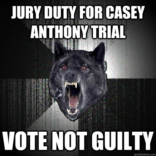 jury duty for casey anthony trial vote not guilty   Insanity Wolf