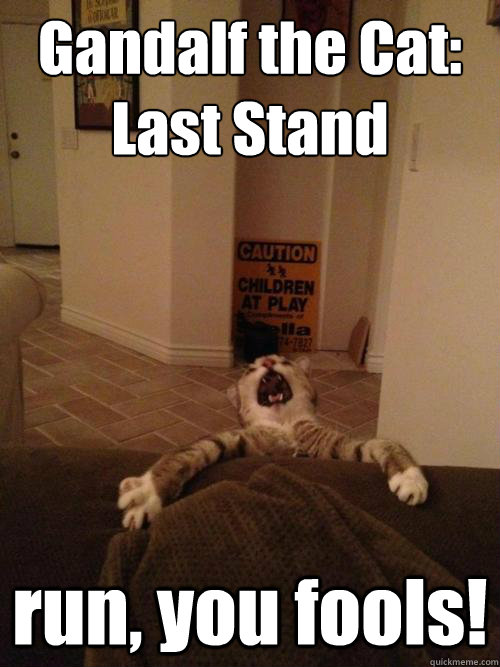 Gandalf the Cat: 
Last Stand run, you fools!  