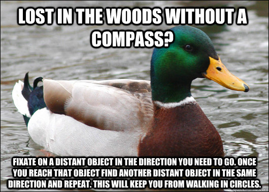 Lost in the woods without a compass? fixate on a distant object in the direction you need to go. once you reach that object find another distant object in the same direction and repeat. this will keep you from walking in circles.  Actual Advice Mallard