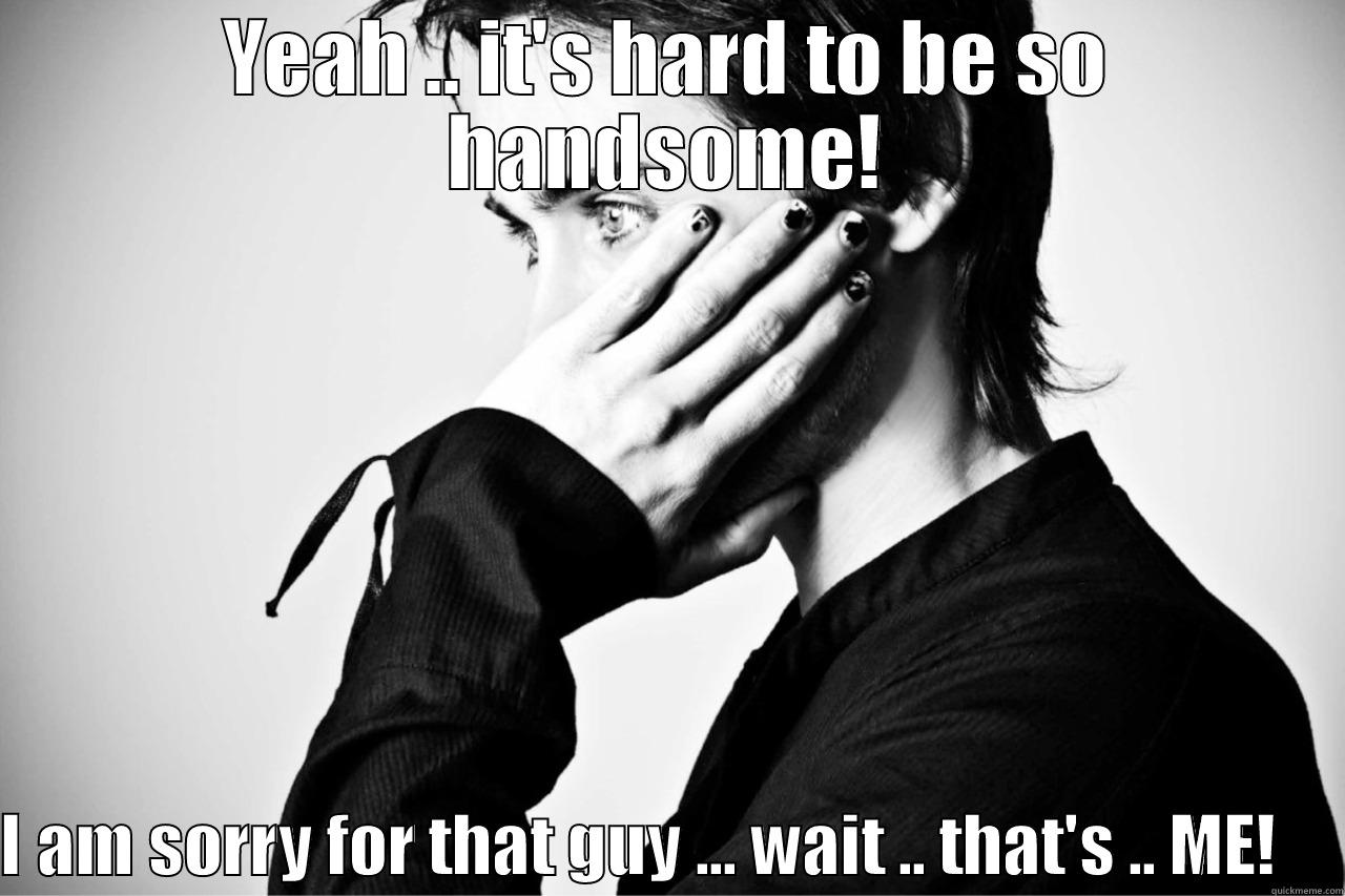 YEAH .. IT'S HARD TO BE SO HANDSOME!  I AM SORRY FOR THAT GUY ... WAIT .. THAT'S .. ME!     Misc