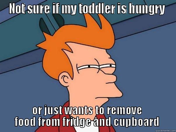 NOT SURE IF MY TODDLER IS HUNGRY OR JUST WANTS TO REMOVE FOOD FROM FRIDGE AND CUPBOARD Futurama Fry