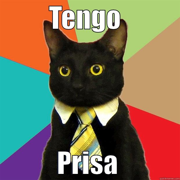 Spanish Memes - TENGO  PRISA Business Cat