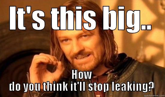IT'S THIS BIG.. HOW DO YOU THINK IT'LL STOP LEAKING? Boromir