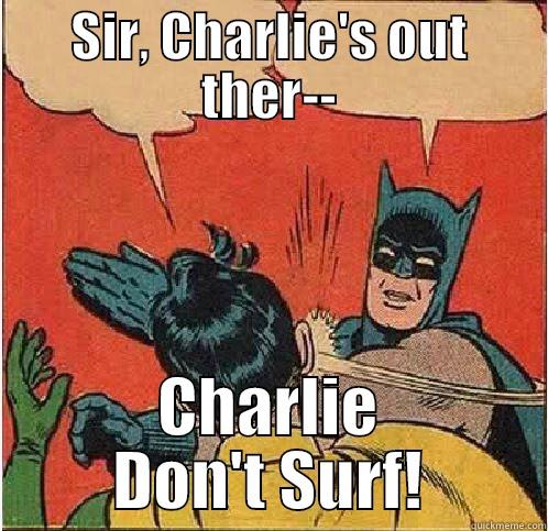 SIR, CHARLIE'S OUT THER-- CHARLIE DON'T SURF! Batman Slapping Robin