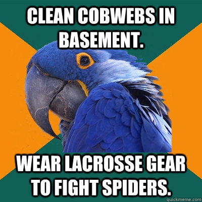 Clean cobwebs in basement. Wear Lacrosse gear to fight spiders.  Paranoid Parrot