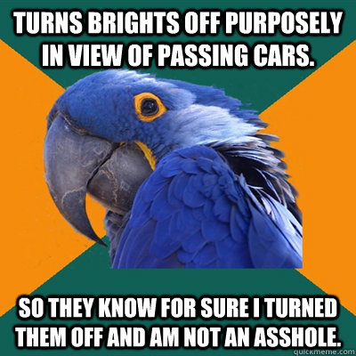 Turns Brights off purposely in view of passing cars. So they know for sure I turned them off and am not an asshole.  Paranoid Parrot
