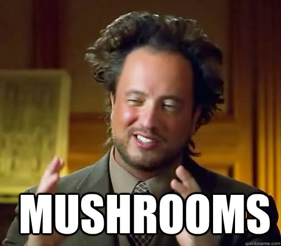   Mushrooms -   Mushrooms  Ancient Aliens