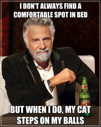 I don't always find a comfortable spot in bed but when I do, My cat steps on my balls  The Most Interesting Man In The World