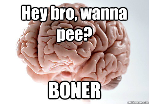 Hey bro, wanna pee? BONER  Scumbag Brain
