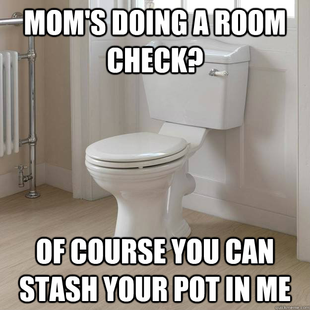 mom's doing a room check? of course you can stash your pot in me  Good Guy Toilet