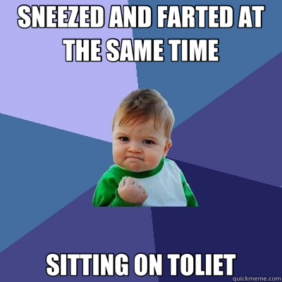 SNEEZED AND FARTED AT THE SAME TIME SITTING ON TOLIET  Success Kid