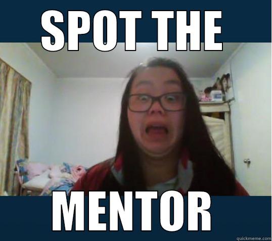 SPOT THE MENTOR Misc