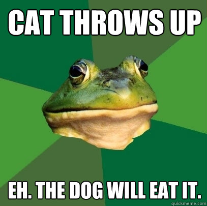 Cat throws up Eh. the dog will eat it.  Foul Bachelor Frog