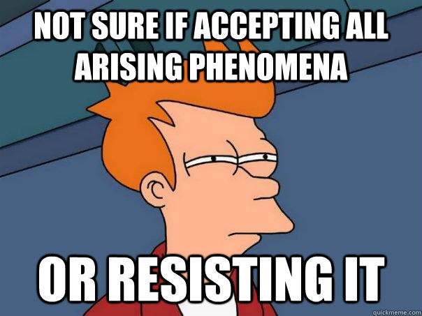 Not sure if accepting all arising phenomena Or resisting it  - Not sure if accepting all arising phenomena Or resisting it   Futurama Fry