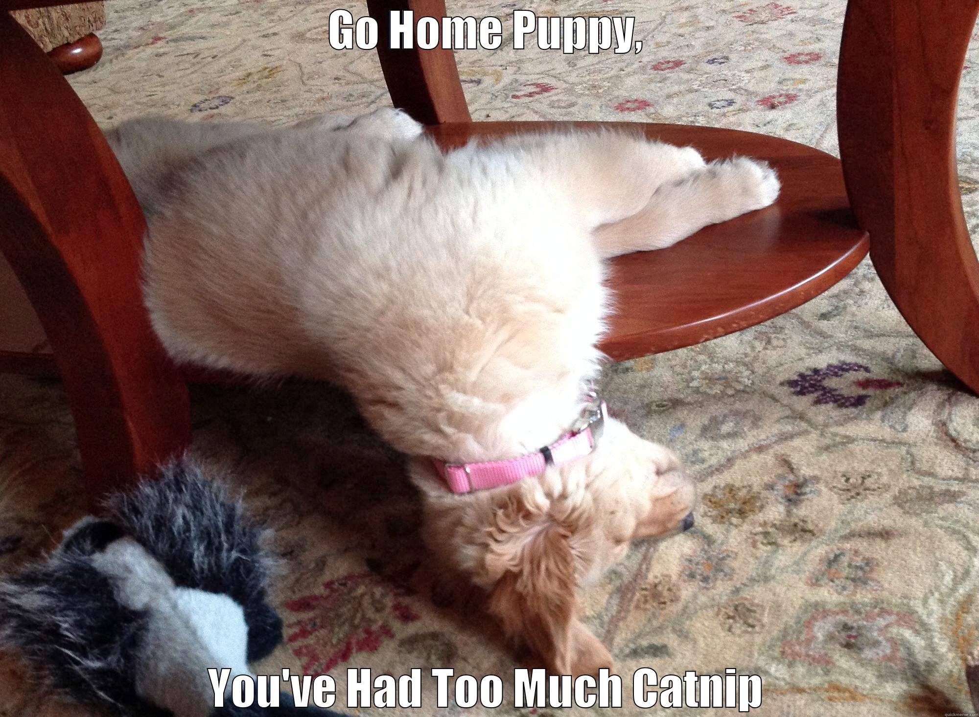 GO HOME PUPPY, YOU'VE HAD TOO MUCH CATNIP Misc