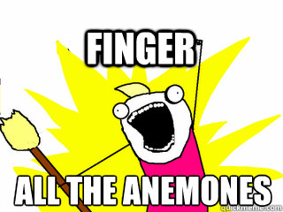 all the anemones finger  All The Thigns