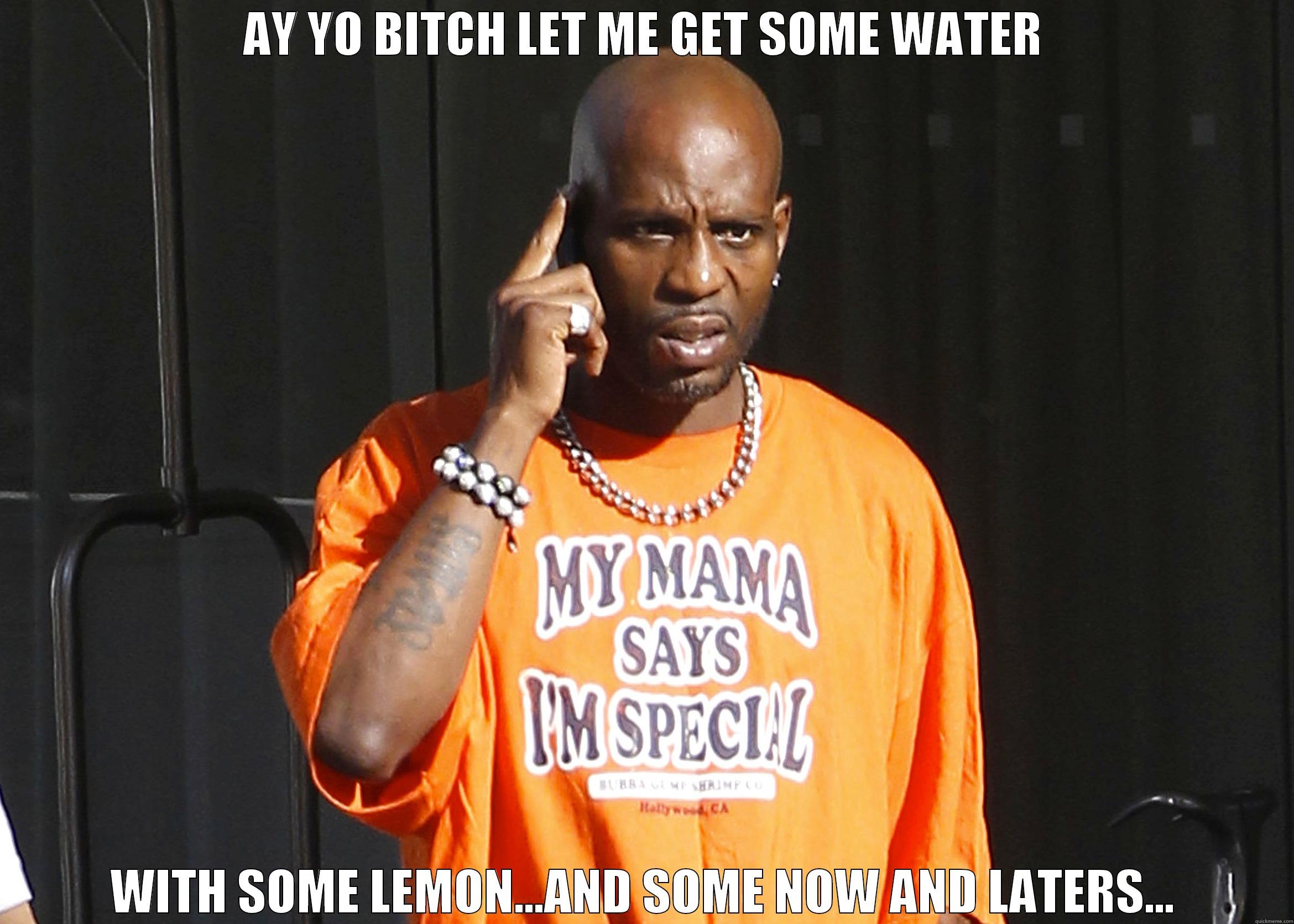 AY YO BITCH LET ME GET SOME WATER WITH SOME LEMON...AND SOME NOW AND LATERS... Misc