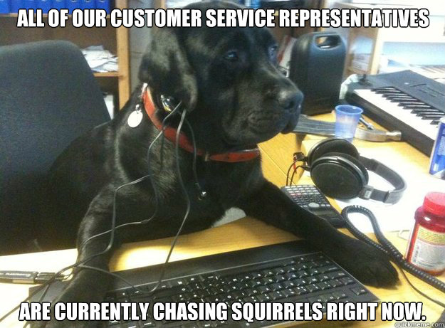 all of our customer service representatives are currently chasing Squirrels right now.    