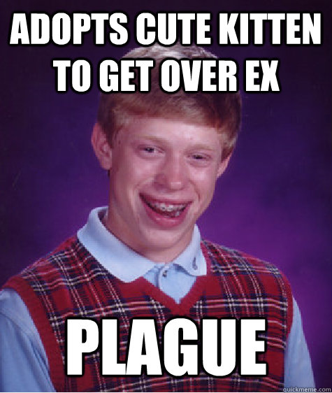 Adopts cute kitten to get over ex Plague  Bad Luck Brian