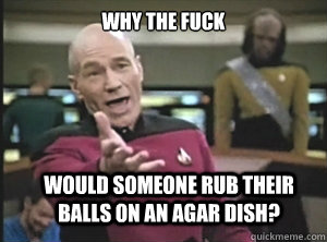 why the fuck would someone rub their balls on an agar dish?  Annoyed Picard