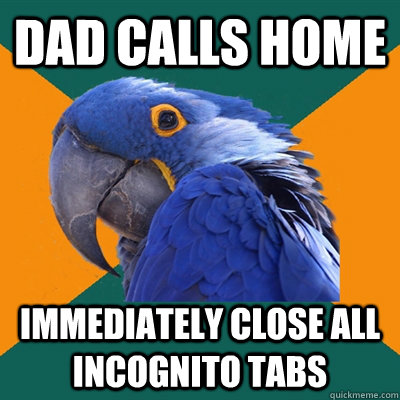 dad calls home immediately close all incognito tabs  Paranoid Parrot