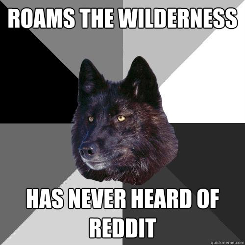 Roams the wilderness Has never heard of reddit - Roams the wilderness Has never heard of reddit  Sanity Wolf