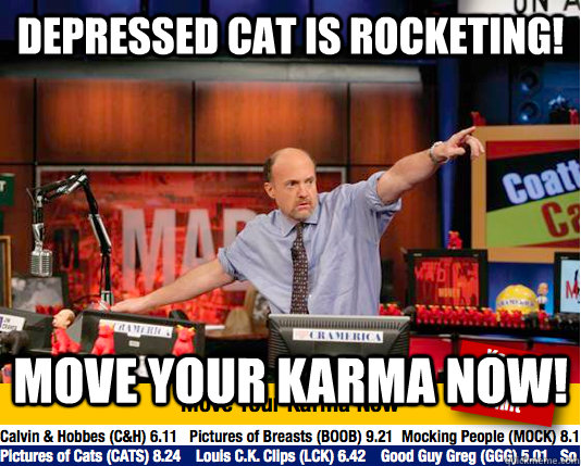 Depressed cat is rocketing! move your karma now!  move your karma now