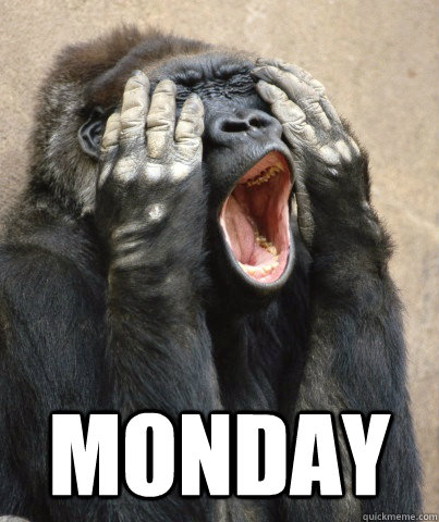  MONDAY -  MONDAY  Monday