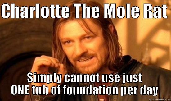 CHARLOTTE THE MOLE RAT  SIMPLY CANNOT USE JUST ONE TUB OF FOUNDATION PER DAY Boromir