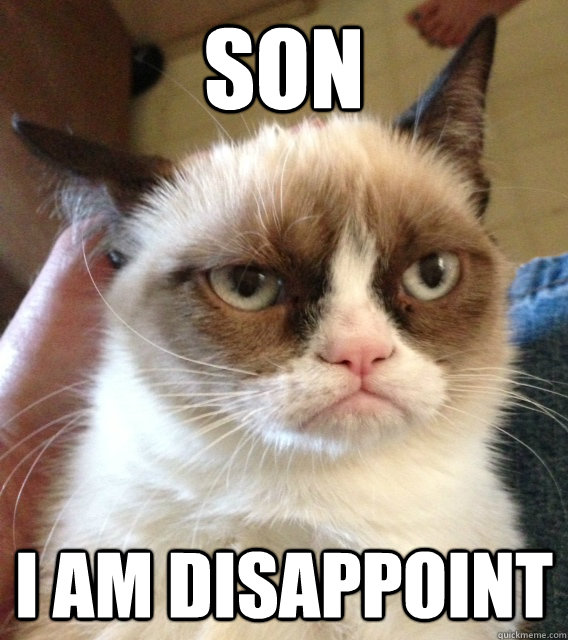 son i am disappoint - son i am disappoint  disappointment cat