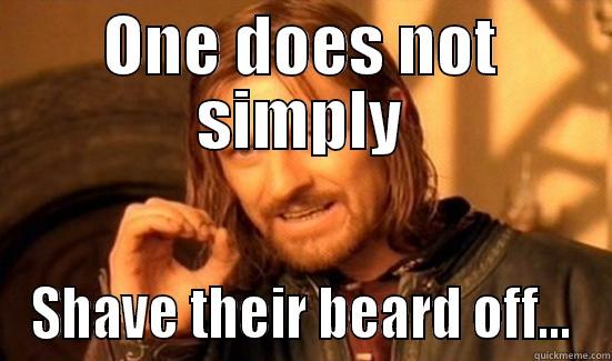 ONE DOES NOT SIMPLY SHAVE THEIR BEARD OFF... Boromir