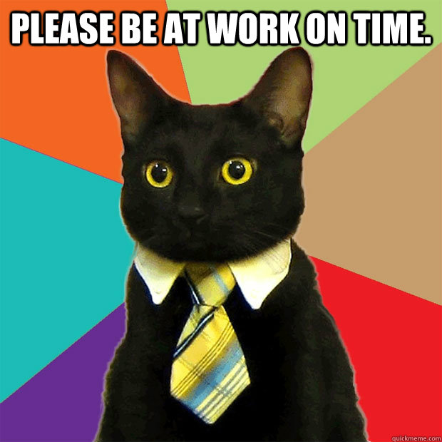Please be at work on time.  - Please be at work on time.   Business Cat