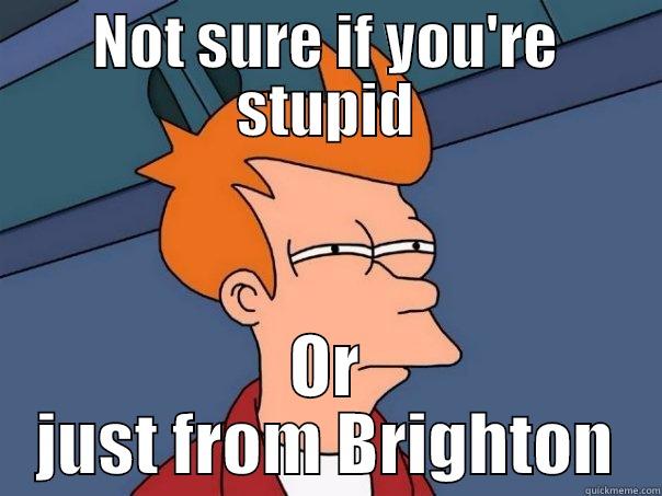 NOT SURE IF YOU'RE STUPID OR JUST FROM BRIGHTON Futurama Fry