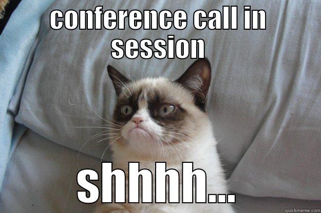 conference call... shhhh - CONFERENCE CALL IN SESSION SHHHH... Grumpy Cat