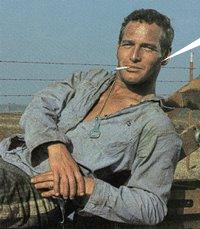 It's because I put my hand in a freezer before I mastrobate  Cool Hand Luke