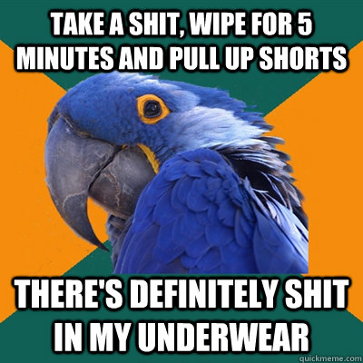 take a shit, wipe for 5 minutes and pull up shorts there's definitely shit in my underwear    Paranoid Parrot