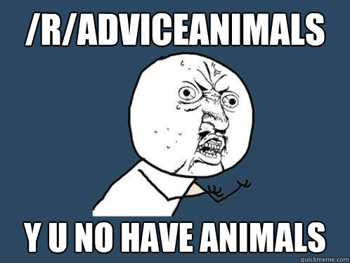 /r/AdviceAnimals y u no have animals  Y U No