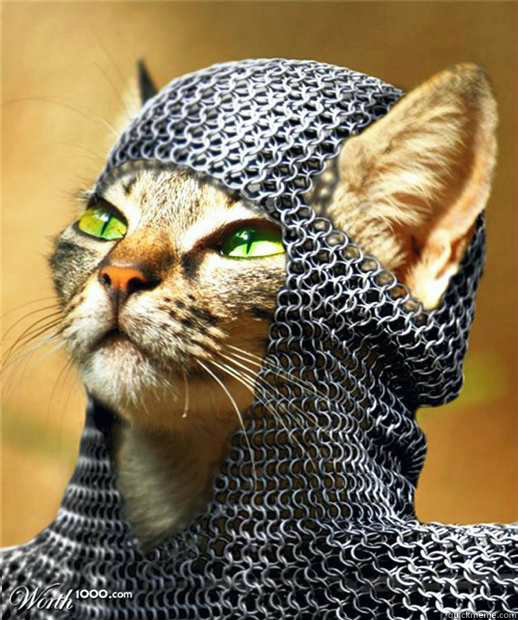    God Wills It Cat